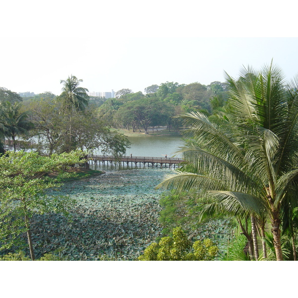 รูปถ่าย พม่า(Myanmar) ย่างกุ้ง(Yangon) โรงแรมกันดอจีพาเลซ(Kandawgyi Palace Hotel) 2005-01 38