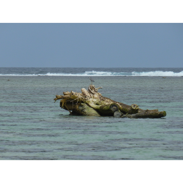 รูปถ่าย ฟิจิ(Fiji) ถนนจากนาดีไปนาตาโดลา(Nadi to Natadola road) 2010-05 78