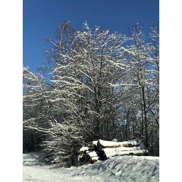 รูปถ่าย สวิสเซอร์แลนด์(Switzerland) ครองส์-มงตานา(Crans Montana) 2020-12 38