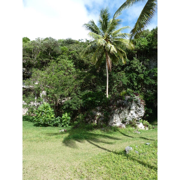 รูปถ่าย นิวแคลิโดเนีย(New Caledonia) เกาะลีฟู(Lifou) โยซิป(Josip) 2010-05 15