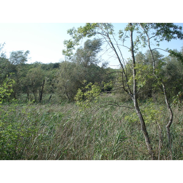 รูปถ่าย ฝรั่งเศส(France) วีลเนิฟ-ลูแบ(Villeneuve Loubet) สวนโวเกรอนีเย(Parc de Vaugrenier) 2006-09 5