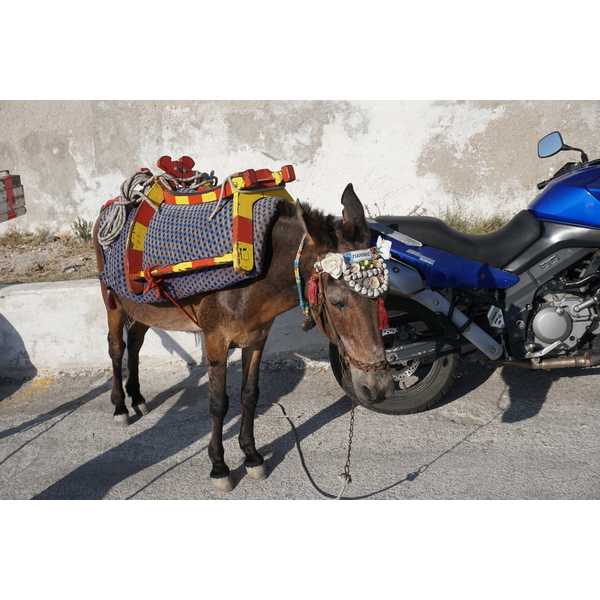 รูปถ่าย กรีก(Greece) ซานโตรินี(Santorini) 2016-07 78