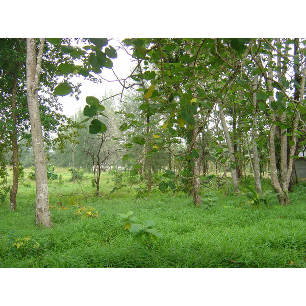 รูปถ่าย ไทย(Thailand) เขาหลัก(Khao Lak) หาดบางสัก(Bang Sak Beach) 2005-12 70