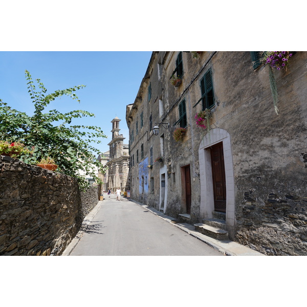 รูปถ่าย ฝรั่งเศส(France) คอร์สิคา(Corsica) เปนตา-ดี-กาซิงกา(Penta-di-Casinca) 2017-09 66