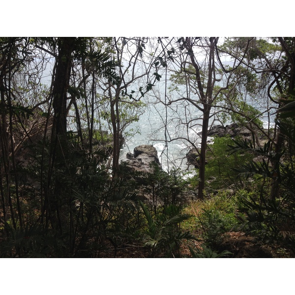 รูปถ่าย คอสตาริกา(Costa Rica) มอนเตซูมา(Montezuma) 2015-03 334