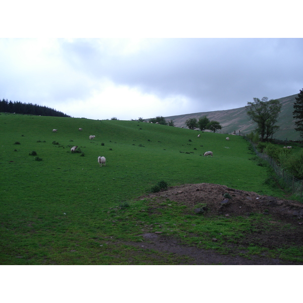 รูปถ่าย อังกฤษ(United Kingdom) อุทยานแห่งชาติเบรคอนบีคอนส์(Brecon Beacons National Park) 2006-05 100