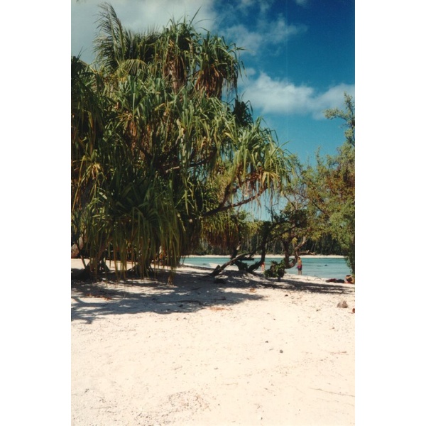 รูปถ่าย เฟรนช์โพลี่นีเซีย(Polynesia) มูเรีย(Moorea) 1993-04 57
