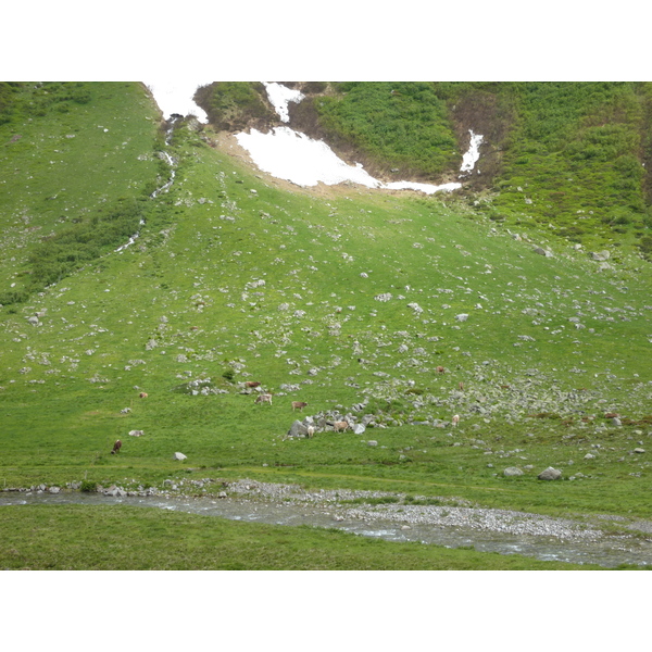 รูปถ่าย สวิสเซอร์แลนด์(Switzerland) ช่องเขากอตธาร์ด(Gotthard Pass) 2009-06 6