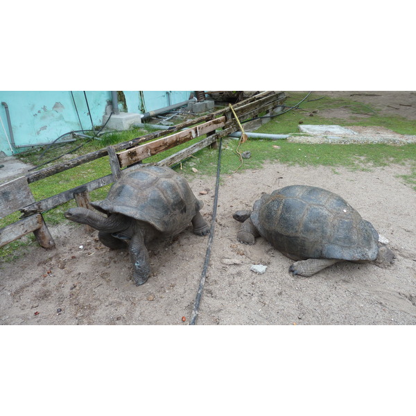 รูปถ่าย เซเชลส์(Seychelles) เกาะกูรีเยิซ(Curieuse) 2011-10 30