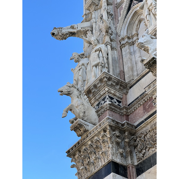รูปถ่าย อิตาลี(Italy) ซีเอน่า(Siena) มหาวิหารเซียนา(Duomo di Siena) 2021-09 62