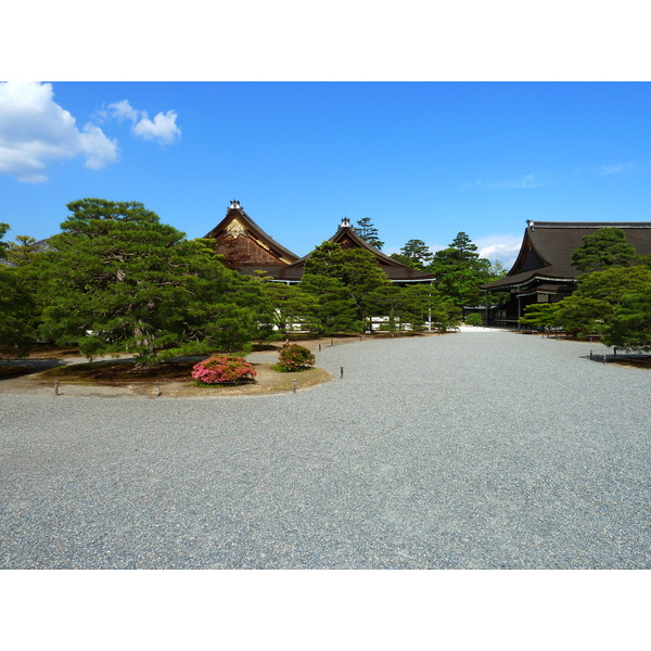 รูปถ่าย ญี่ปุ่น(Japan) เกียวโต(Kyoto) พระราชวังหลวงเกียวโต(Kyoto Imperial Palace) 2010-06 22