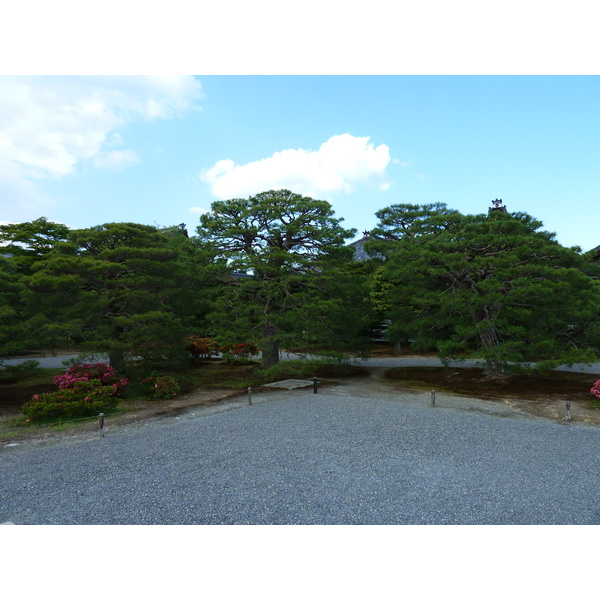 รูปถ่าย ญี่ปุ่น(Japan) เกียวโต(Kyoto) พระราชวังหลวงเกียวโต(Kyoto Imperial Palace) 2010-06 140