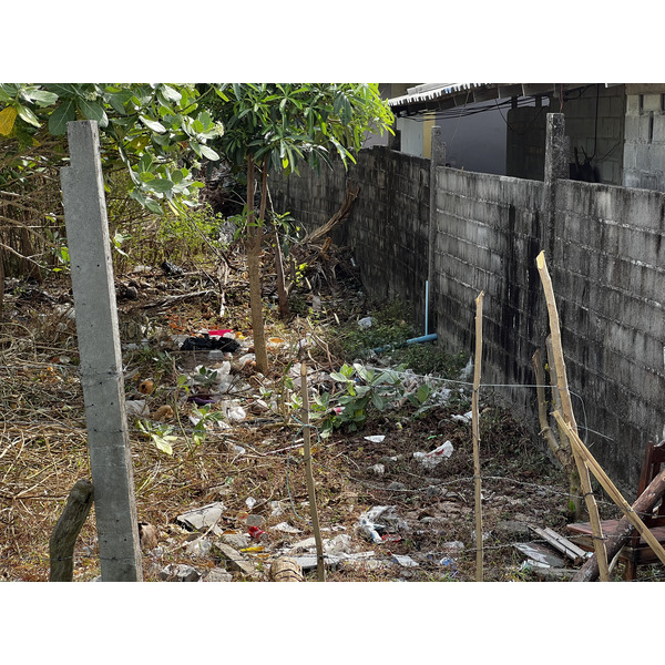รูปถ่าย ไทย(Thailand) เกาะลันตา(Ko Lanta) 2023-01 4