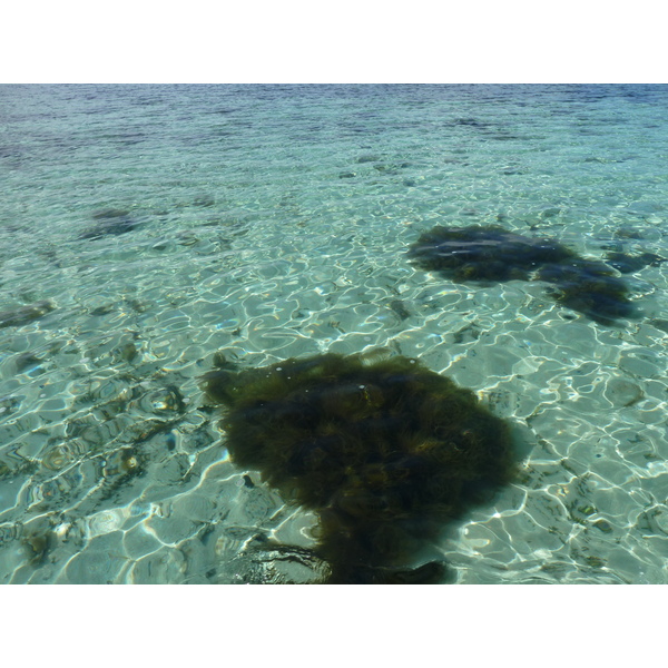 รูปถ่าย ฟิจิ(Fiji) รีสอร์ตเกาะอามูนูกา(Amunuca Island Resort) 2010-05 4