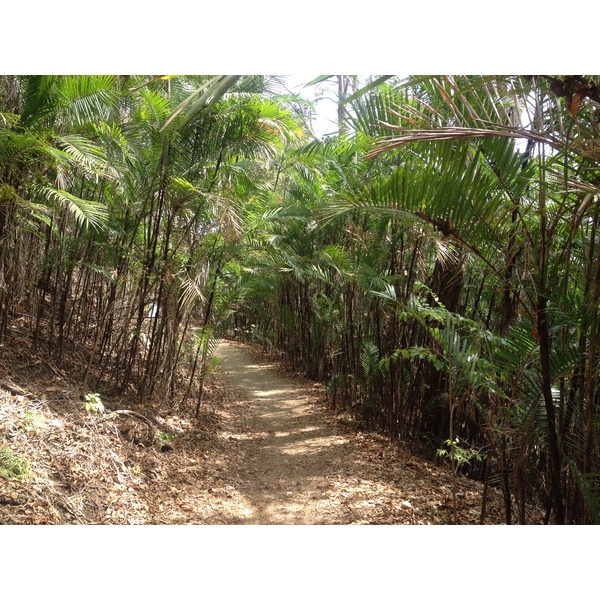 รูปถ่าย คอสตาริกา(Costa Rica) มอนเตซูมา(Montezuma) 2015-03 356