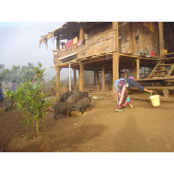 รูปถ่าย ไทย(Thailand) ปางมะผ้า(Pang Mapha) 2005-12 192