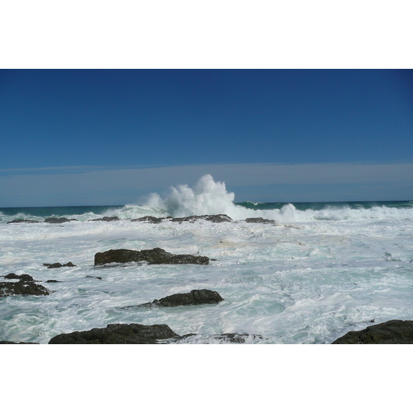 รูปถ่าย แอฟริกาใต้(South Africa) อุทยานแห่งชาติซิตซิคัมมา(Tsitsikamma National Park) 2008-09 362
