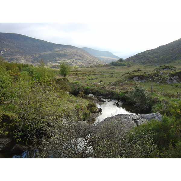 รูปถ่าย ไอร์แลนด์(Ireland) เคอร์รี่(Kerry) สวนสาธารณะคิลลาร์นีย์เนชั่นเนล(Killarney National Park) 2004-05 31