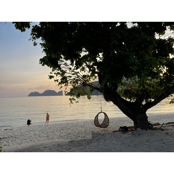 รูปถ่าย ไทย(Thailand) เกาะพีพีดอน(Ko Phi Phi Don) 2021-12 48