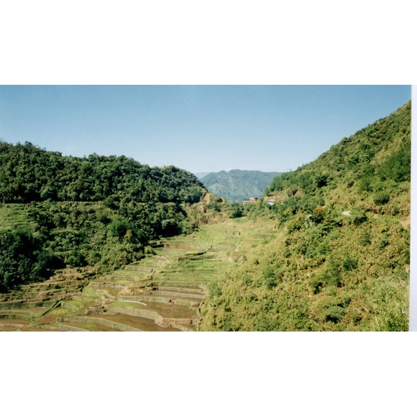 รูปถ่าย ฟิลิปปินส์(Philippines) บานาเวย์(Banaue) 1997-03 5
