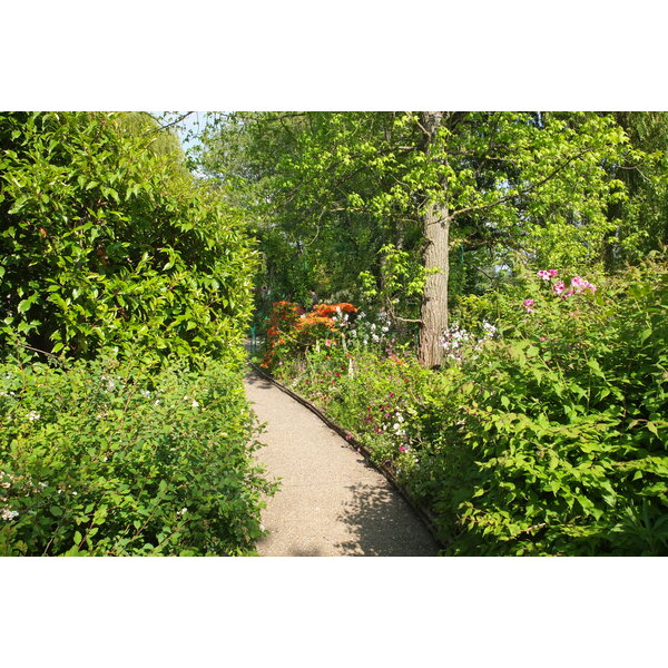 รูปถ่าย ฝรั่งเศส(France) ฌีแวร์นี(Giverny) 2013-06 213