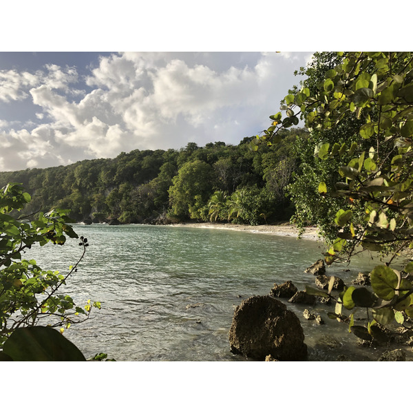 รูปถ่าย กวาเดอลูป(Guadeloupe) หาดปตีอาฟวร์(Petit Havre Beach) 2021-02 12