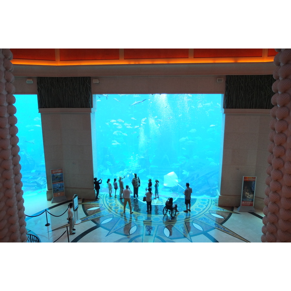 รูปถ่าย สหรัฐอาหรับเอมิเรตส์(United Arab Emirates) ดูไบ(Dubai) โรงแรมแอตแลนติส(Atlantis Hotel) 2014-02 215