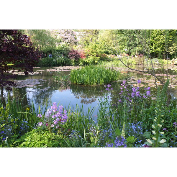 รูปถ่าย ฝรั่งเศส(France) ฌีแวร์นี(Giverny) 2013-06 223
