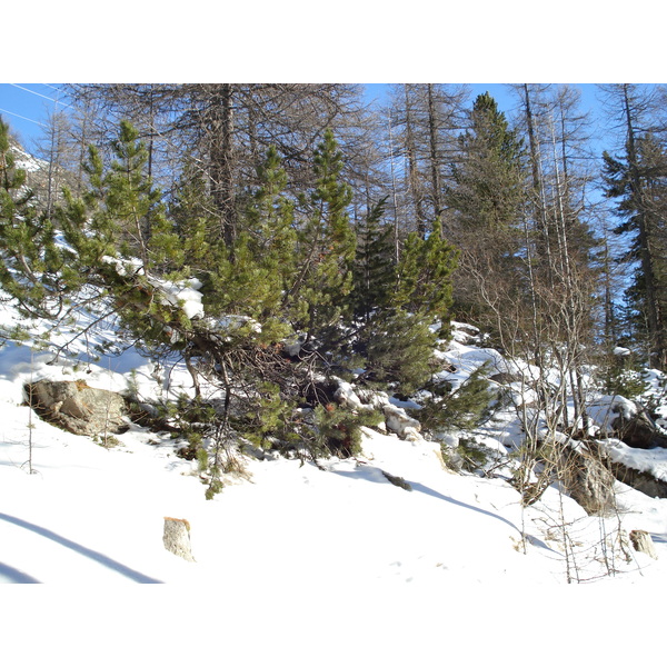 รูปถ่าย สวิสเซอร์แลนด์(Switzerland) จากปอนเตรซีนาไปลาโกเบียนโก(From Pontresina to Lago Bianco) 2007-01 4