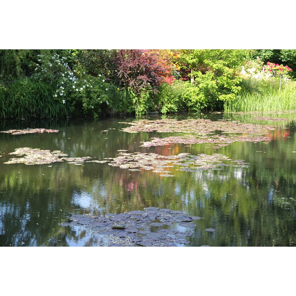รูปถ่าย ฝรั่งเศส(France) ฌีแวร์นี(Giverny) 2013-06 130