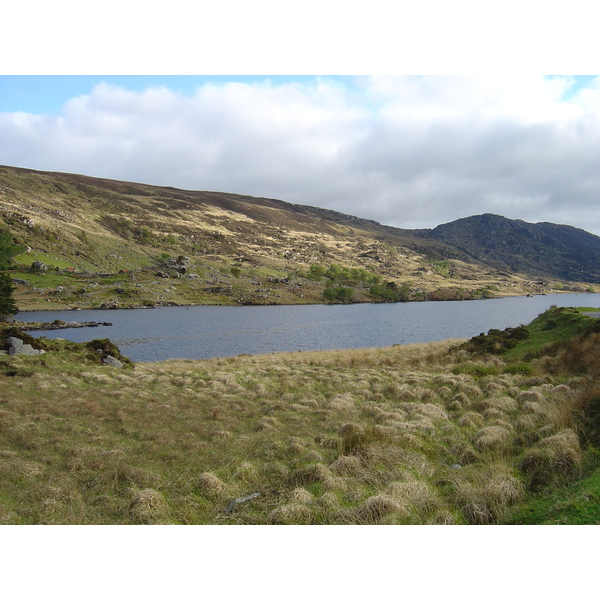 รูปถ่าย ไอร์แลนด์(Ireland) เคอร์รี่(Kerry) สวนสาธารณะคิลลาร์นีย์เนชั่นเนล(Killarney National Park) 2004-05 44