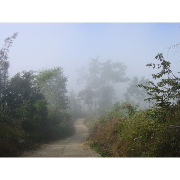 รูปถ่าย ไทย(Thailand) ปางมะผ้า(Pang Mapha) 2005-12 15