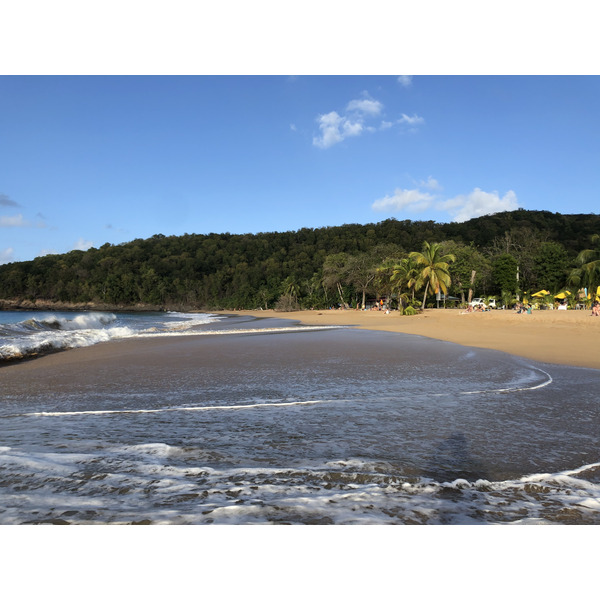รูปถ่าย กวาเดอลูป(Guadeloupe) หาดลาแปร์ล(La Perle Beach) 2021-02 128