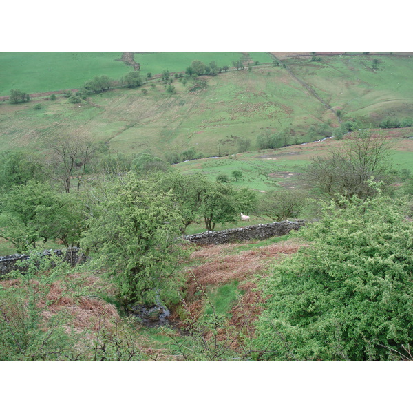 รูปถ่าย อังกฤษ(United Kingdom) อุทยานแห่งชาติเบรคอนบีคอนส์(Brecon Beacons National Park) 2006-05 119