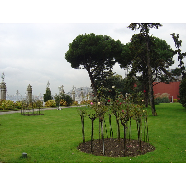 รูปถ่าย ตุรกี(Turkey) อิสตันบูล(Istanbul) พระราชวังโดลมาบาห์เช(Dolmabahce Palace) 2004-12 141