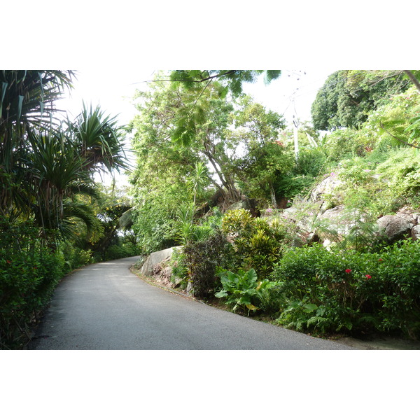 รูปถ่าย เซเชลส์(Seychelles) เกาะปราลิน(Praslin) 2011-10 176