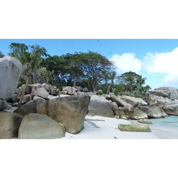 รูปถ่าย เซเชลส์(Seychelles) เกาะโกโก้(Coco Island) 2011-10 85