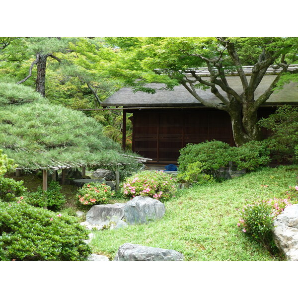 รูปถ่าย ญี่ปุ่น(Japan) เกียวโต(Kyoto) พระราชวังหลวงเกียวโต(Kyoto Imperial Palace) 2010-06 81