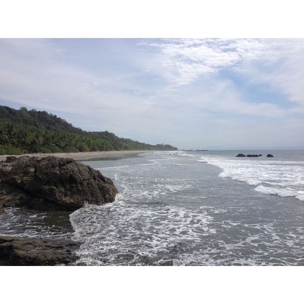 รูปถ่าย คอสตาริกา(Costa Rica) มอนเตซูมา(Montezuma) 2015-03 396
