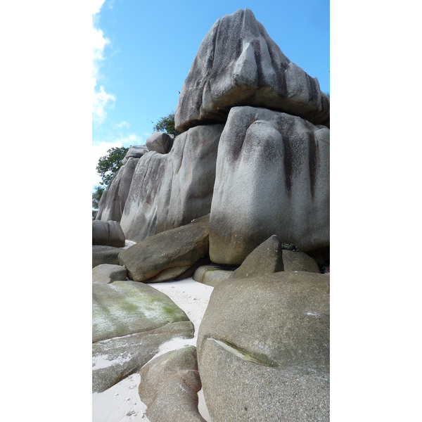 รูปถ่าย เซเชลส์(Seychelles) เกาะโกโก้(Coco Island) 2011-10 80