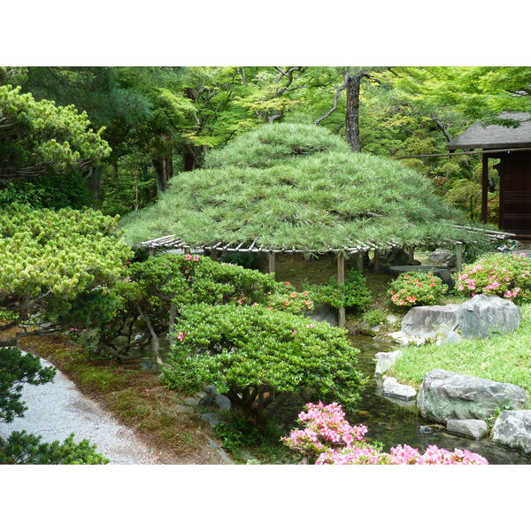 รูปถ่าย ญี่ปุ่น(Japan) เกียวโต(Kyoto) พระราชวังหลวงเกียวโต(Kyoto Imperial Palace) 2010-06 91