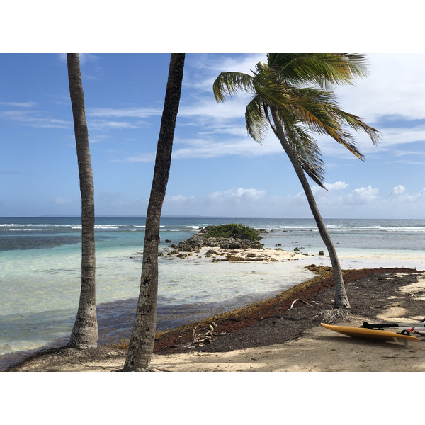 รูปถ่าย กวาเดอลูป(Guadeloupe) หาดลาการาแวล(La Caravelle Beach) 2021-02 104