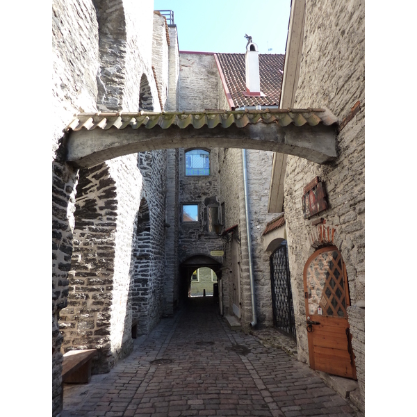 รูปถ่าย เอสโตเนีย(Estonia) ทาลลินน์(Tallinn) 2009-04 13