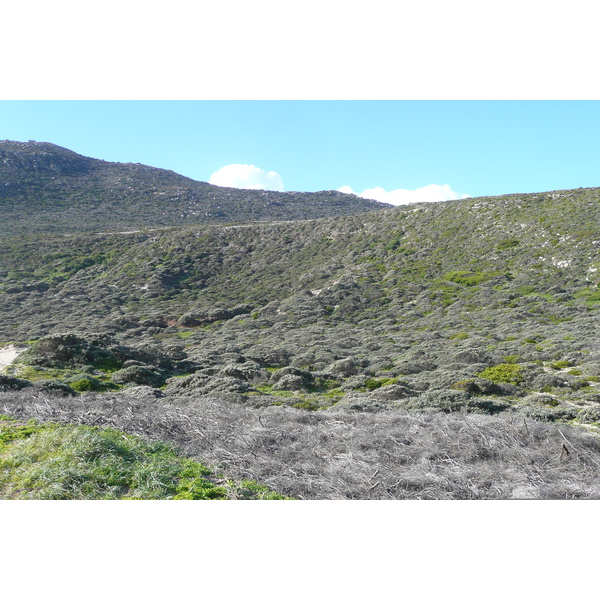 รูปถ่าย แอฟริกาใต้(South Africa) แหลมกู๊ดโฮป(Cape of Good Hope) แหลมเคปพอยต์(Cape Point) 2008-09 97