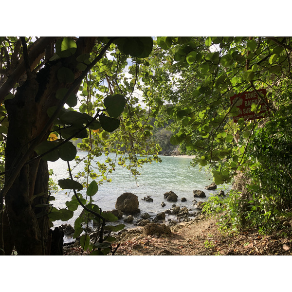 รูปถ่าย กวาเดอลูป(Guadeloupe) หาดปตีอาฟวร์(Petit Havre Beach) 2021-02 14