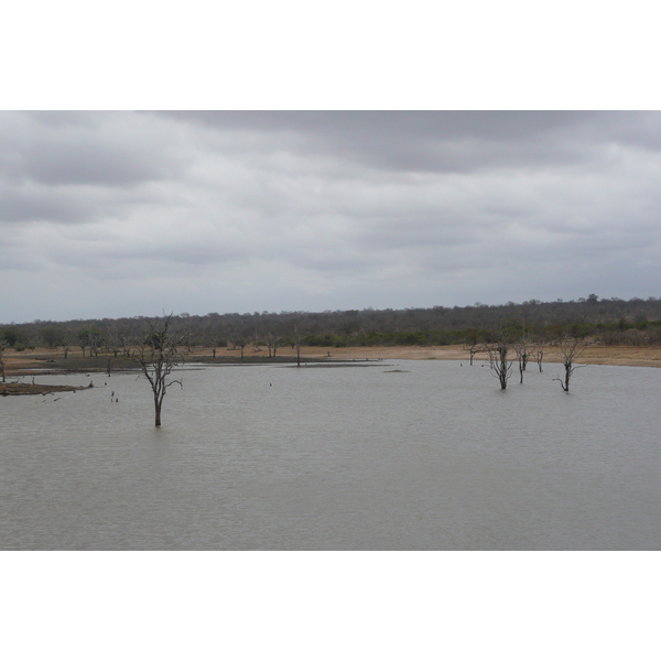 รูปถ่าย แอฟริกาใต้(South Africa) อุทยานแห่งชาติครูเกอร์(Kruger National Park) มปอนโด(Mpondo) 2008-09 8