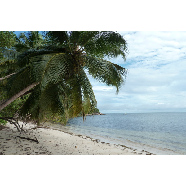 รูปถ่าย เซเชลส์(Seychelles) เกาะปราลิน(Praslin) 2011-10 6