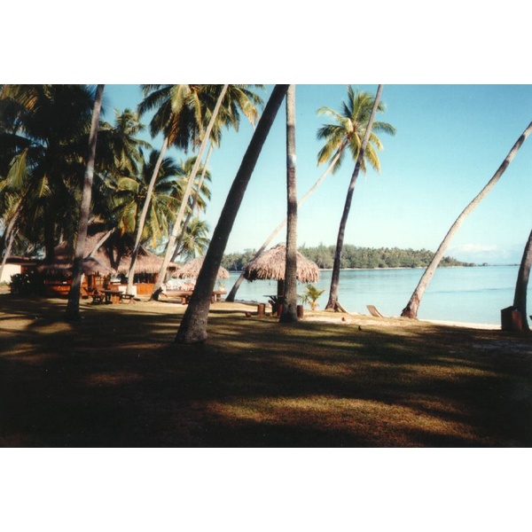 รูปถ่าย เฟรนช์โพลี่นีเซีย(Polynesia) มูเรีย(Moorea) 1993-04 45
