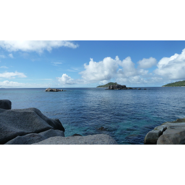 รูปถ่าย เซเชลส์(Seychelles) เกาะโกโก้(Coco Island) 2011-10 73