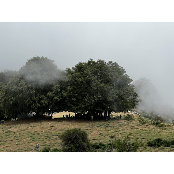 รูปถ่าย ฝรั่งเศส(France) คอร์สิคา(Corsica) ที่พักกัลเลรุชชู(Refuge de Callerucciu) 2022-06 39